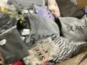 Apparel: &#x22;Clothes&#x22; (JUL25-0852)