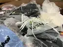 Apparel: &#x22;Clothes&#x22; (JUL25-1008)
