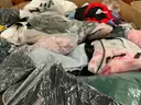 Apparel: &#x22;Clothes&#x22; (JUL25-1038)