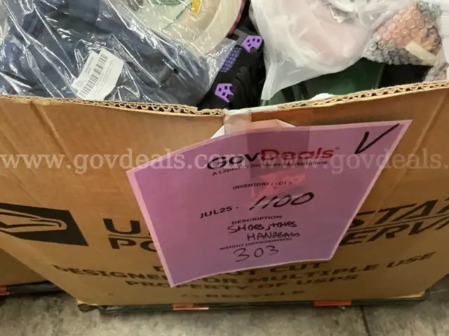 Apparel: Manually Sorted &#x22;Shoes, Handbags and Totes&#x22; (JUL25-1100X)
