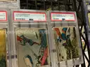 Collectibles: &#x22;Trading Cards&#x22; (JUL25-H031)