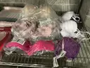 Apparel Clothes &#x26; Accessories &#x201C;Victoria secret products&#x201D; 