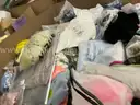 Apparel: &#x22;Clothes&#x22; (JUL25-1537)