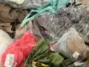 Apparel: &#x22;Clothes&#x22; (JUL25-1689)