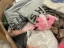 Apparel: &#x22;Clothes&#x22; (JUL25-1689)