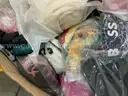 Clothes: (JUL25-1729)