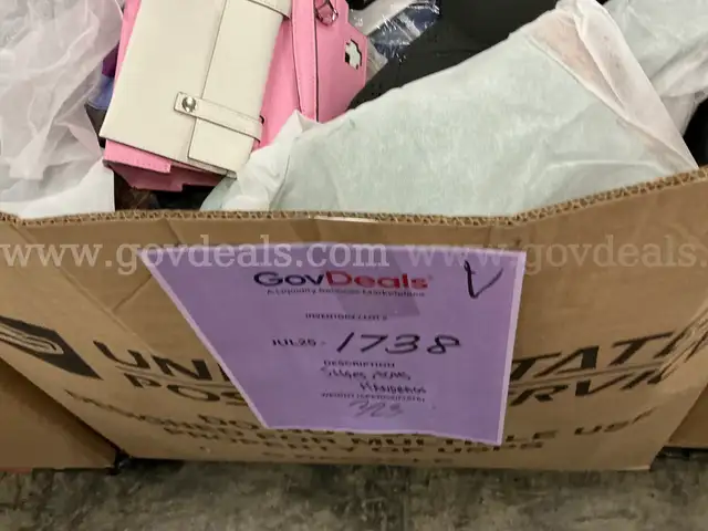 Apparel: Manually Sorted &#x22;Shoes, Handbags and Totes&#x22; (JUL25-1738X)