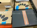 Apparel: &#x22;Boxed Shoes&#x22; (JUL25-1796X)