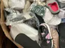 Apparel: Manually Sorted &#x22;Shoes, Handbags and Totes&#x22; (JUL25-2238X)