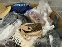 Apparel: Manually Sorted &#x22;Shoes, Handbags and Totes&#x22; (JUL25-2531X)