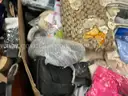 Apparel: Manually Sorted &#x22;Shoes, Handbags and Totes&#x22; (JUL25-2555X)