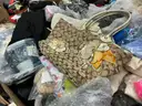 Apparel: Manually Sorted &#x22;Shoes, Handbags and Totes&#x22; (JUL25-2555X)