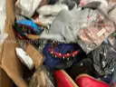 Apparel: Manually Sorted &#x22;Shoes, Handbags and Totes&#x22; (JUL25-2562X)