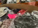 Apparel: Manually Sorted &#x22;Shoes, Handbags and Totes&#x22; (AUG25-0214X)
