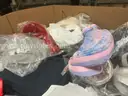 Apparel: Manually Sorted &#x22;Shoes, Handbags and Totes&#x22; (AUG25-0221X)