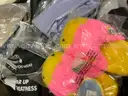 Apparel: Manually Sorted &#x22;Shoes, Handbags and Totes&#x22; (AUG25-0387X)