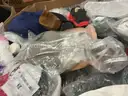Apparel: Manually Sorted &#x22;Shoes, Handbags and Totes&#x22; (AUG25-0563X)