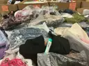 Apparel: &#x22;Clothes&#x22; (AUG25-0569)