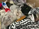 Apparel: Manually Sorted &#x22;Shoes, Handbags and Totes&#x22; (AUG25-0823X)