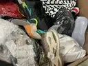 Apparel: Manually Sorted &#x22;Shoes, Handbags and Totes&#x22; (AUG25-0823X)
