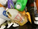 General Merchandise: &#x22;Household Cleaning Supplies&#x22; (AUG25-1123)