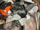 Apparel: Manually Sorted &#x22;Shoes, Handbags and Totes&#x22; (AUG25-1136X)
