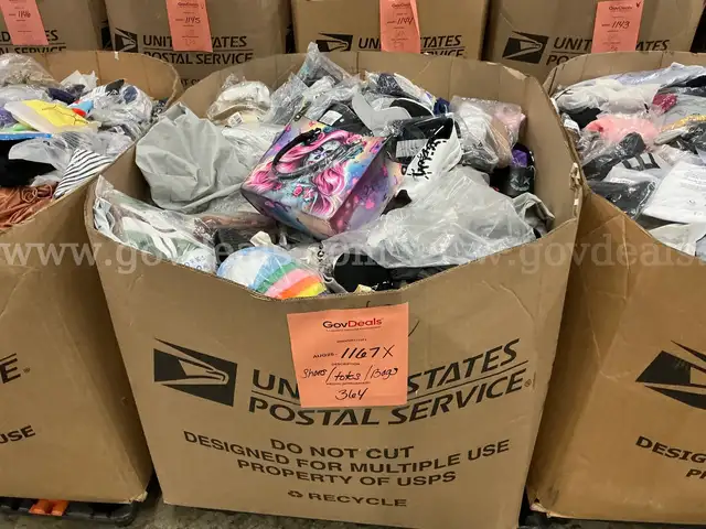 Apparel: Manually Sorted &#x22;Shoes, Handbags and Totes&#x22; (AUG25-1167X)