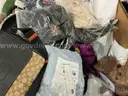 Apparel: Manually Sorted &#x22;Shoes, Handbags and Totes&#x22; (AUG25-1270X)