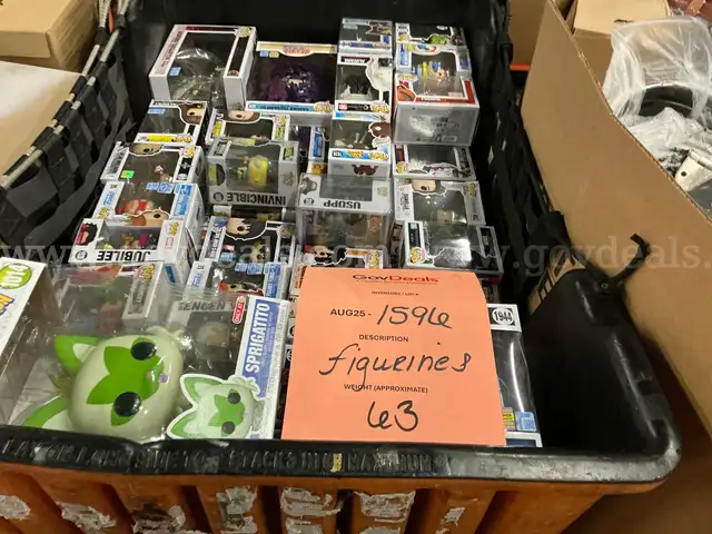 Collectibles: &#x22;Figurines&#x22; (AUG25-1596X)