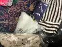 Apparel: &#x22;Clothes&#x22; (AUG25-1660)