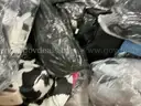 Apparel: Manually Sorted &#x22;Shoes, Handbags and Totes&#x22; (AUG25-1738X)