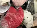 Apparel: Manually Sorted &#x22;Shoes, Handbags and Totes&#x22; (AUG25-1800X)