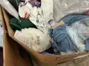 Apparel: &#x22;Clothes&#x22; (AUG25-1813)