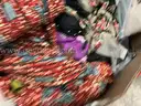 Apparel: &#x22;Clothes&#x22; (AUG25-1835)