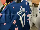 Apparel: Jersey (AUG25-H059x)