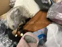 Apparel: Manually Sorted &#x22;Shoes, Handbags and Totes&#x22; (AUG25-1960X)