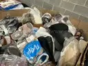 Apparel: Manually Sorted &#x22;Shoes, Handbags and Totes&#x22; (AUG25-1960X)