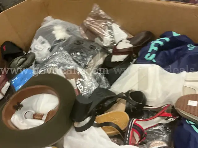 Apparel: Manually Sorted &#x22;Shoes, Handbags and Totes&#x22; (AUG25-2047X)