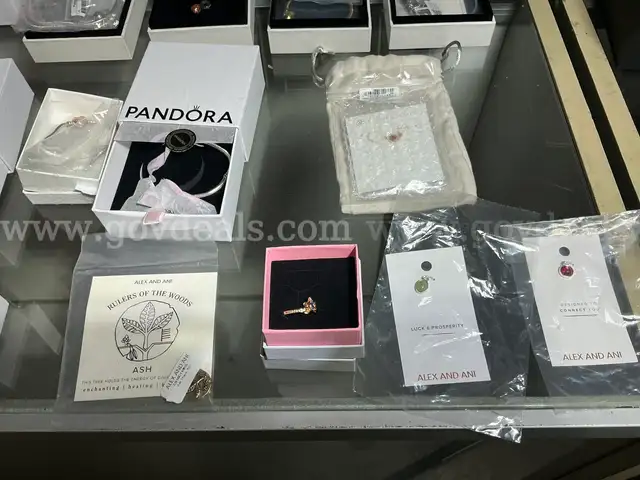 Jewelry: &#x22;Assorted&#x22; (AUG25-H062X)
