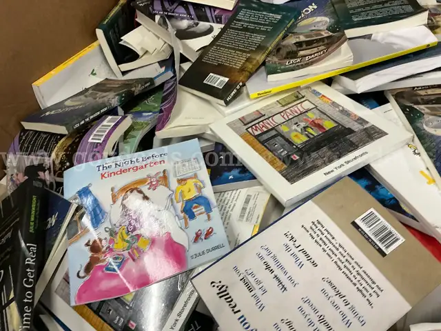 Books: Mixed &#x22;Hard and Soft Back&#x22; (SEP25-0293)