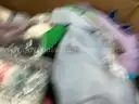 Apparel: &#x22;Clothes&#x22; (SEP25-0346)