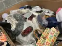 Apparel: Manually Sorted &#x22;Shoes, Handbags and Totes&#x22; (SEP25-0451X)