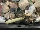 Collectibles: Decorative Stones &#x26; Rocks (SEP25-H022)