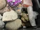 Collectibles: Decorative Stones &#x26; Rocks (SEP25-H022)