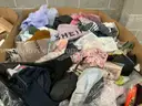 Apparel: &#x22;Clothes&#x22; (SEP25-0781)