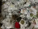 Jewelry: &#x22;Assorted&#x22; (SEP25-H023)