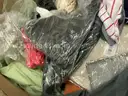 Apparel: &#x22;Clothes&#x22; (SEP25-0820)