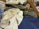 Apparel: Manually Sorted &#x22;Shoes, Handbags and Totes&#x22; (SEP25-0822X)