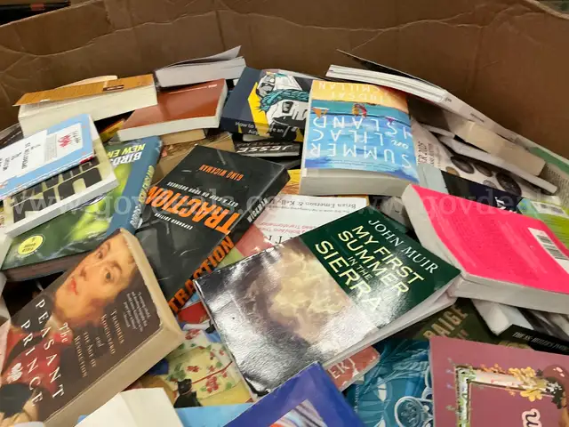 Books: Mixed &#x22;Hard and Soft Back&#x22; (SEP25-0843)