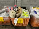 Sporting Goods: (SEP25-0862)